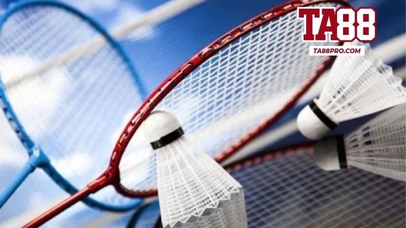 Sảnh Thể Thao K-Sports